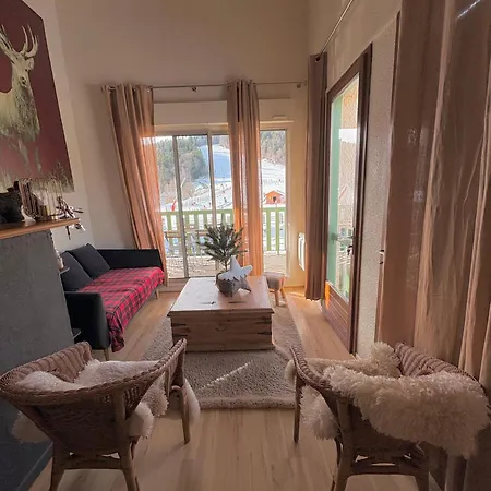 Ax 3 Domaines Plateau De Bonascre Duplex Face Aux Pistes Avec Terrasse *